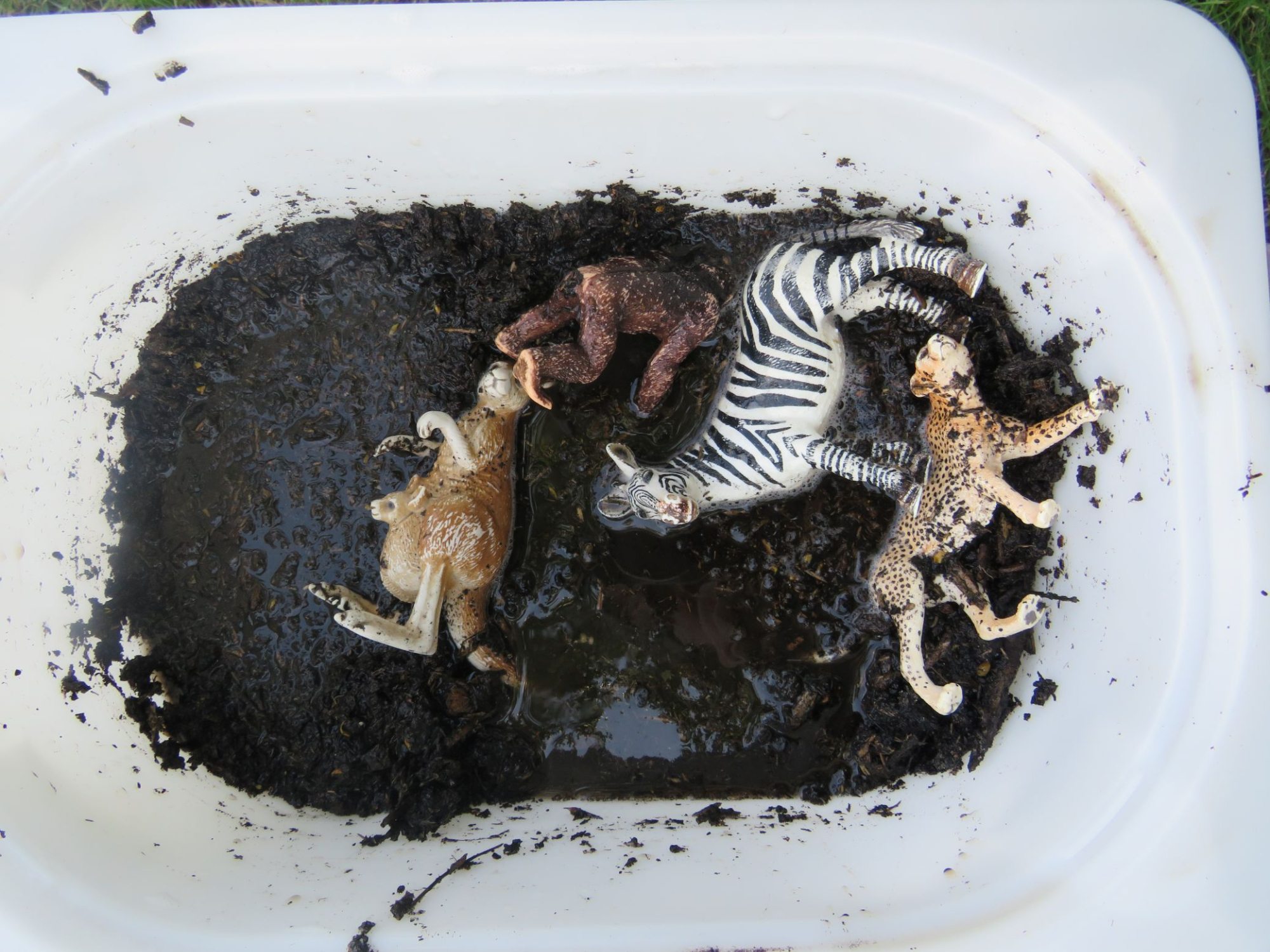 Tiere%20im%20Matsch